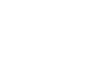 USH Umzug Hamburg Logo in weiß